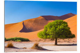 Gallery print Sand dunes and Acacia trees at Sossusvlei, Namib desert, Namibia