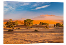 Akrylglastavla  Morning mist over sand dunes and Acacia trees at Sossusvlei, Namibia - Fabio Lamanna