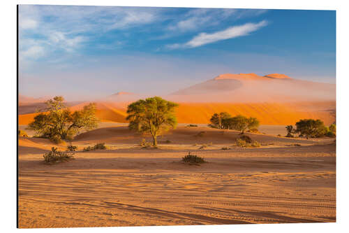 Stampa su alluminio Morning mist over sand dunes and Acacia trees at Sossusvlei, Namibia