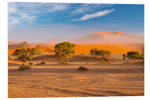 Stampa su PVC Morning mist over sand dunes and Acacia trees at Sossusvlei, Namibia