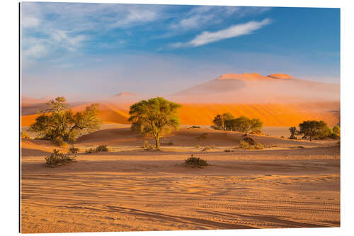 Gallery print Morning mist over sand dunes and Acacia trees at Sossusvlei, Namibia