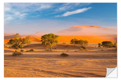 Sisustustarra Morning mist over sand dunes and Acacia trees at Sossusvlei, Namibia