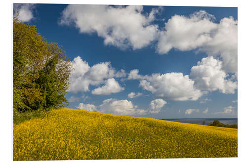 Tableau en PVC Spring on Bornholm (Denmark)