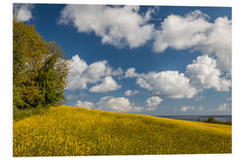 Foam board print Spring on Bornholm (Denmark)