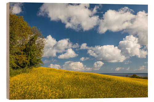 Quadro de madeira Spring on Bornholm (Denmark)