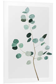 Tableau en PVC Branche d'eucalyptus