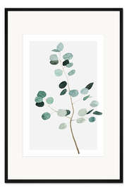 Gerahmter Kunstdruck Silberdollar-Eukalyptus
