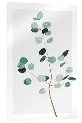 Gallery print Silver dollar eucalyptus