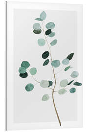 Magnettafel Silberdollar-Eukalyptus