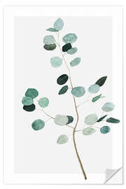 Wall sticker Silver dollar eucalyptus