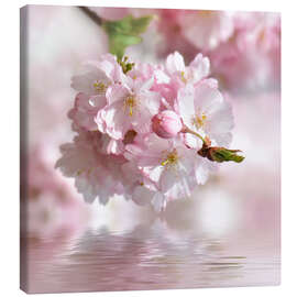 Tableau sur toile  Cerisier en fleurs - Atteloi