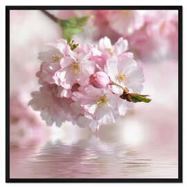 Gerahmter Kunstdruck Kirschblüte