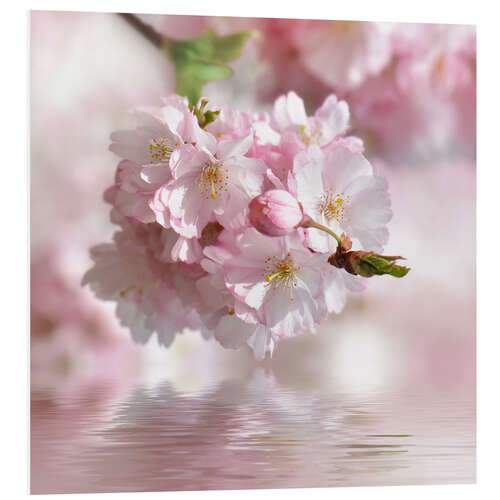 Foam board print cherry blossom