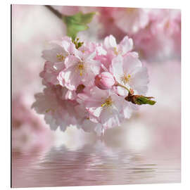 Magnettafel Kirschblüte