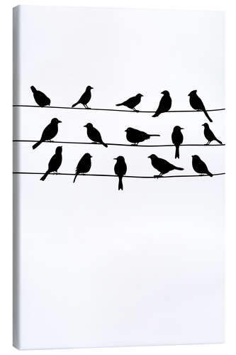 Canvas print birdsong