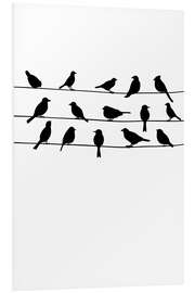 Foam board print birdsong