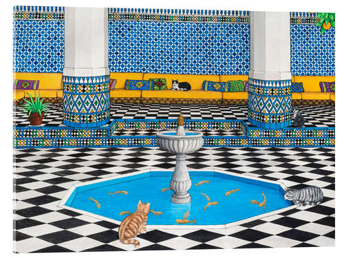 Acrylglasbild Coole Katzen in Marrakesch