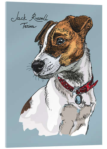 Acrylic print Little Jack Russel