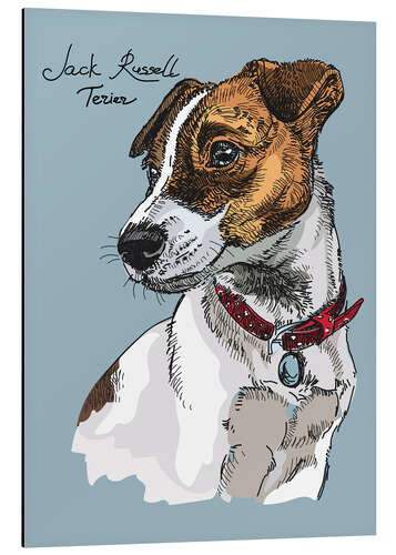 Aluminium print Little Jack Russel