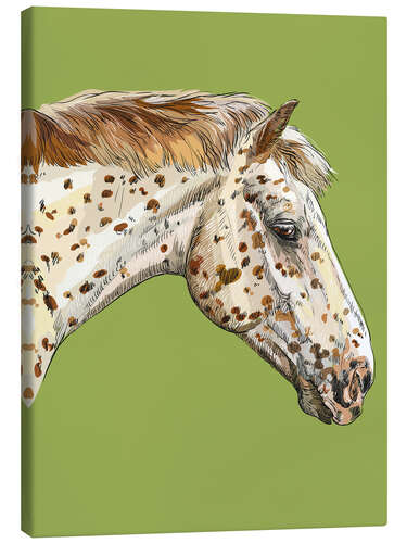 Quadro em tela Horse on green