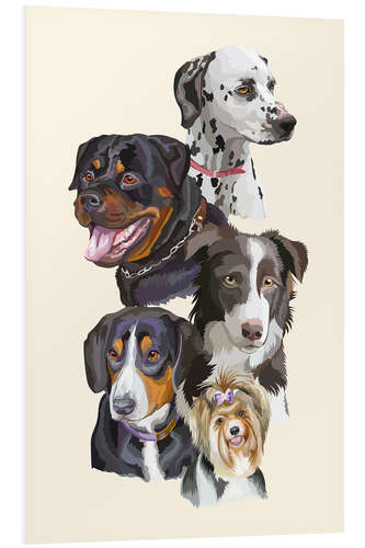 Foam board print Dog breeds