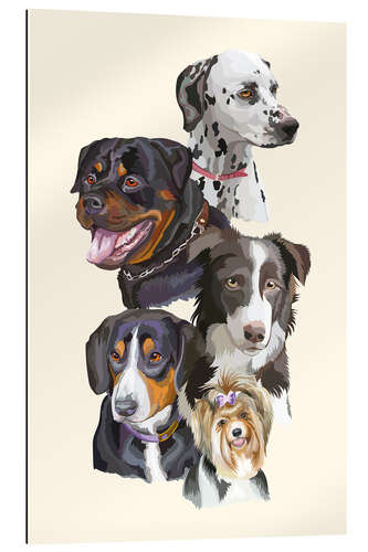 Gallery print Dog breeds