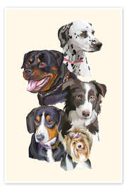 Poster Dog breeds