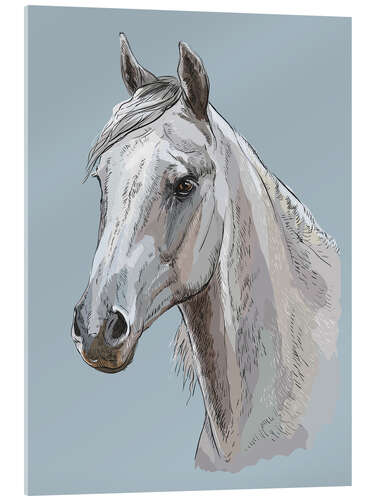 Acrylic print White horse portrait