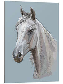 Aluminium print White horse portrait