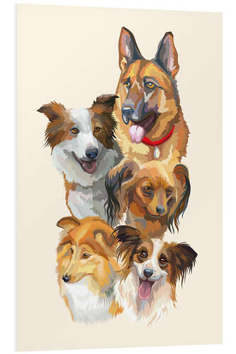 Tableau en PVC Dog breeds portrait