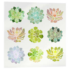 Acrylglas print Spring Succulents