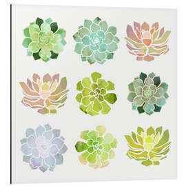 Aluminium print Spring Succulents