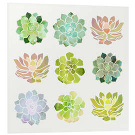 Foam board print Spring Succulents