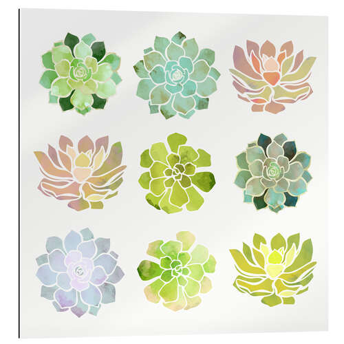 Gallery print Spring Succulents