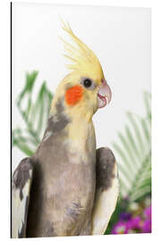Magnettafel Grauer Nyphensittich mit Blumen