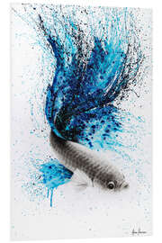 Foam board print Galaxy Gourami