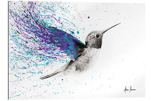 Quadro em plexi-alumínio Hummingbird Garden