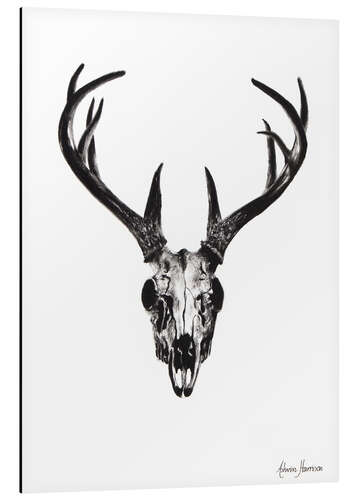 Aluminium print Deer skull study