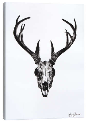 Canvas print Deer skull study