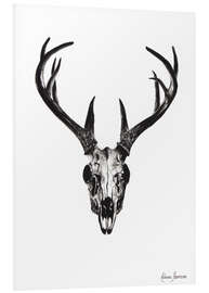 Foam board print Deer skull study