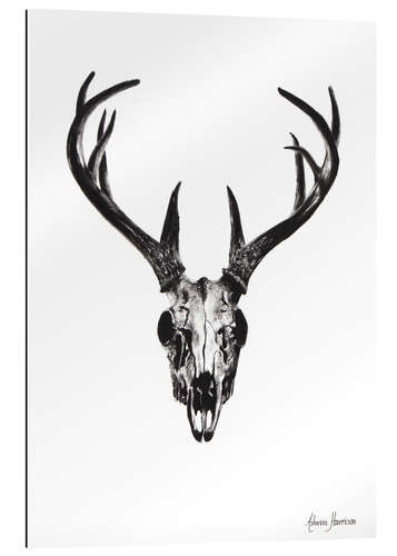 Galleriataulu Deer skull study