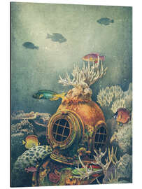 Magnettafel Rifftaucher