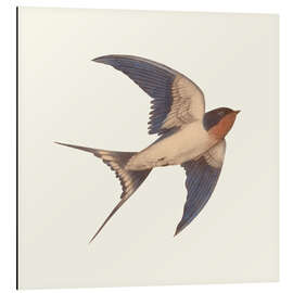 Tableau en aluminium Swallow Grange