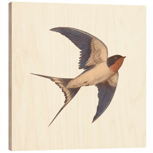 Wood print Barn swallow