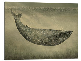 Gallery print The wallpaper whale