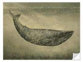 Naklejka na ścianę The wallpaper whale