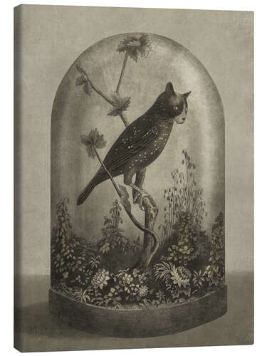 Canvas print Curiosities Cabinet Cat Owl