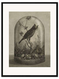 Impressão artística com moldura Curiosities Cabinet Cat Owl
