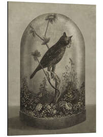 Magnettafel Kuriositäten Kabinett Katzeneule