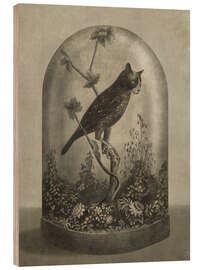 Wood print  Curiosities Cabinet Cat Owl - Terry Fan